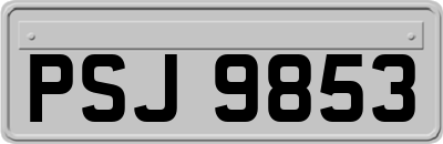 PSJ9853