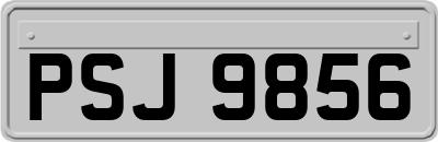 PSJ9856