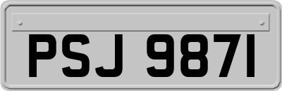 PSJ9871