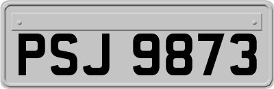 PSJ9873
