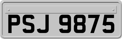 PSJ9875