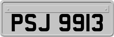 PSJ9913