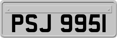 PSJ9951