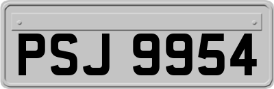 PSJ9954