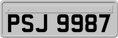 PSJ9987