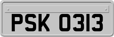 PSK0313