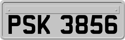 PSK3856
