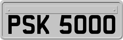 PSK5000