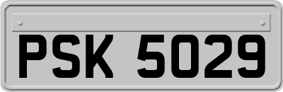 PSK5029