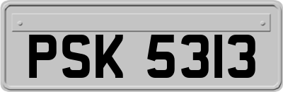 PSK5313