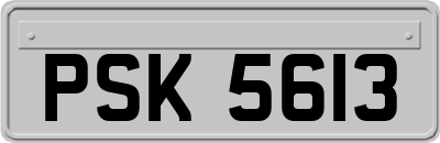 PSK5613