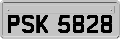 PSK5828