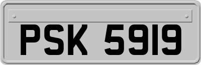 PSK5919