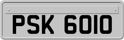 PSK6010