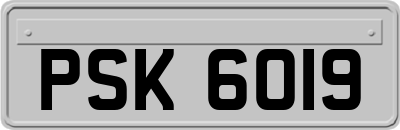 PSK6019