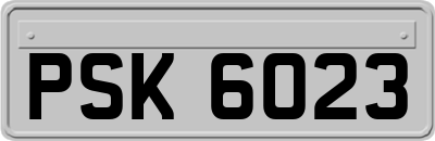 PSK6023