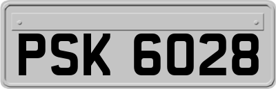 PSK6028