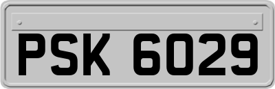 PSK6029