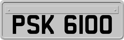 PSK6100