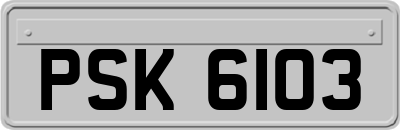 PSK6103
