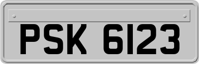 PSK6123
