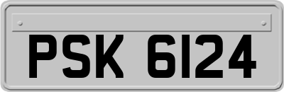 PSK6124