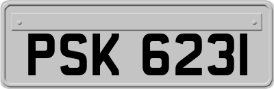 PSK6231