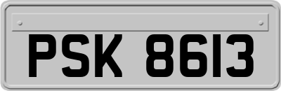 PSK8613
