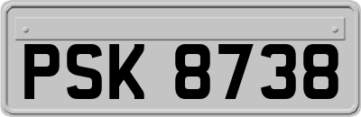 PSK8738