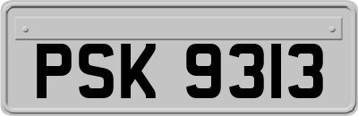 PSK9313