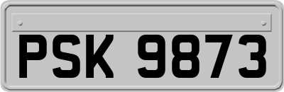 PSK9873