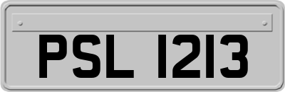 PSL1213