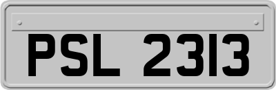PSL2313