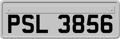 PSL3856