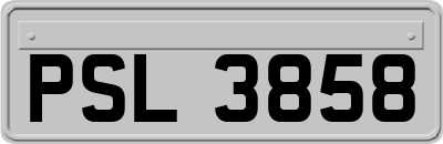 PSL3858