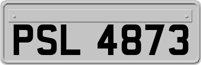 PSL4873