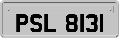 PSL8131