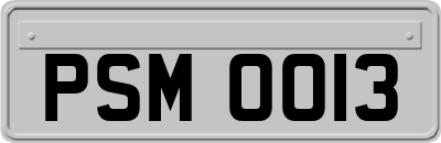 PSM0013
