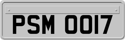 PSM0017