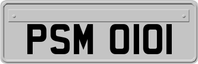 PSM0101