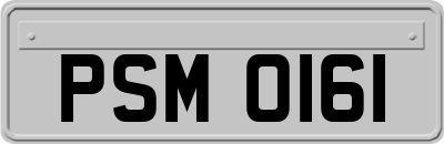 PSM0161