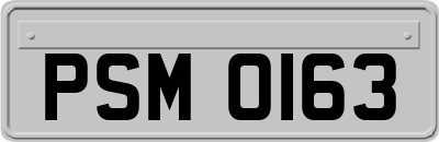 PSM0163