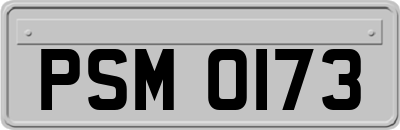PSM0173