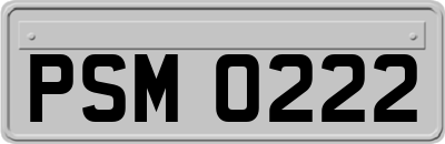 PSM0222