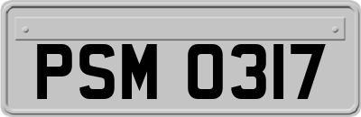 PSM0317
