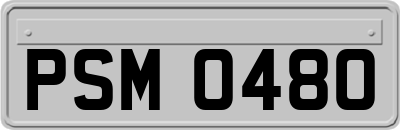 PSM0480