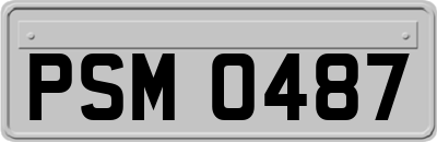 PSM0487