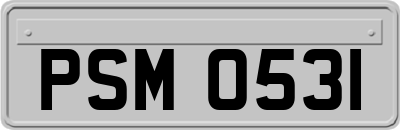 PSM0531