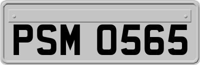 PSM0565