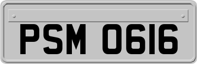 PSM0616